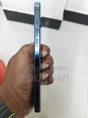 Apple iPhone 12 Pro Max 256 GB Blue