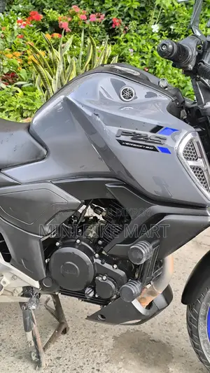 Yamaha FZS V3 2024 Gray