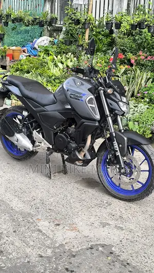 Yamaha FZS V3 2024 Gray