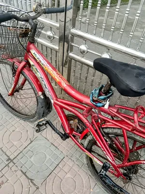 প্রিন্স সাইকেল