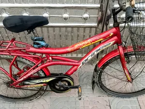 প্রিন্স সাইকেল