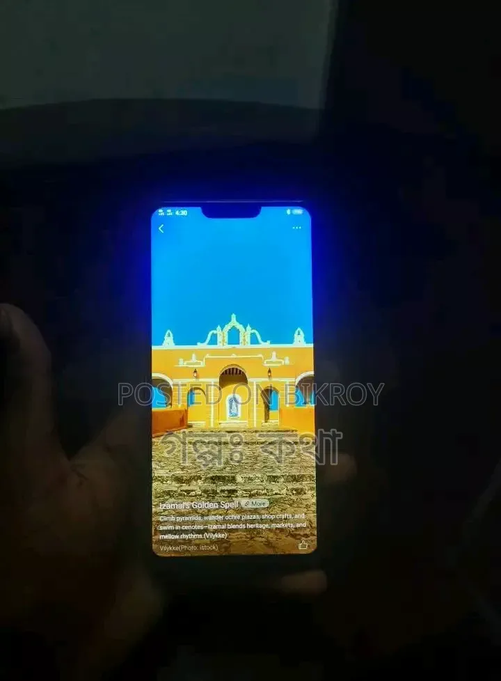 Vivo Y85 32 GB Red