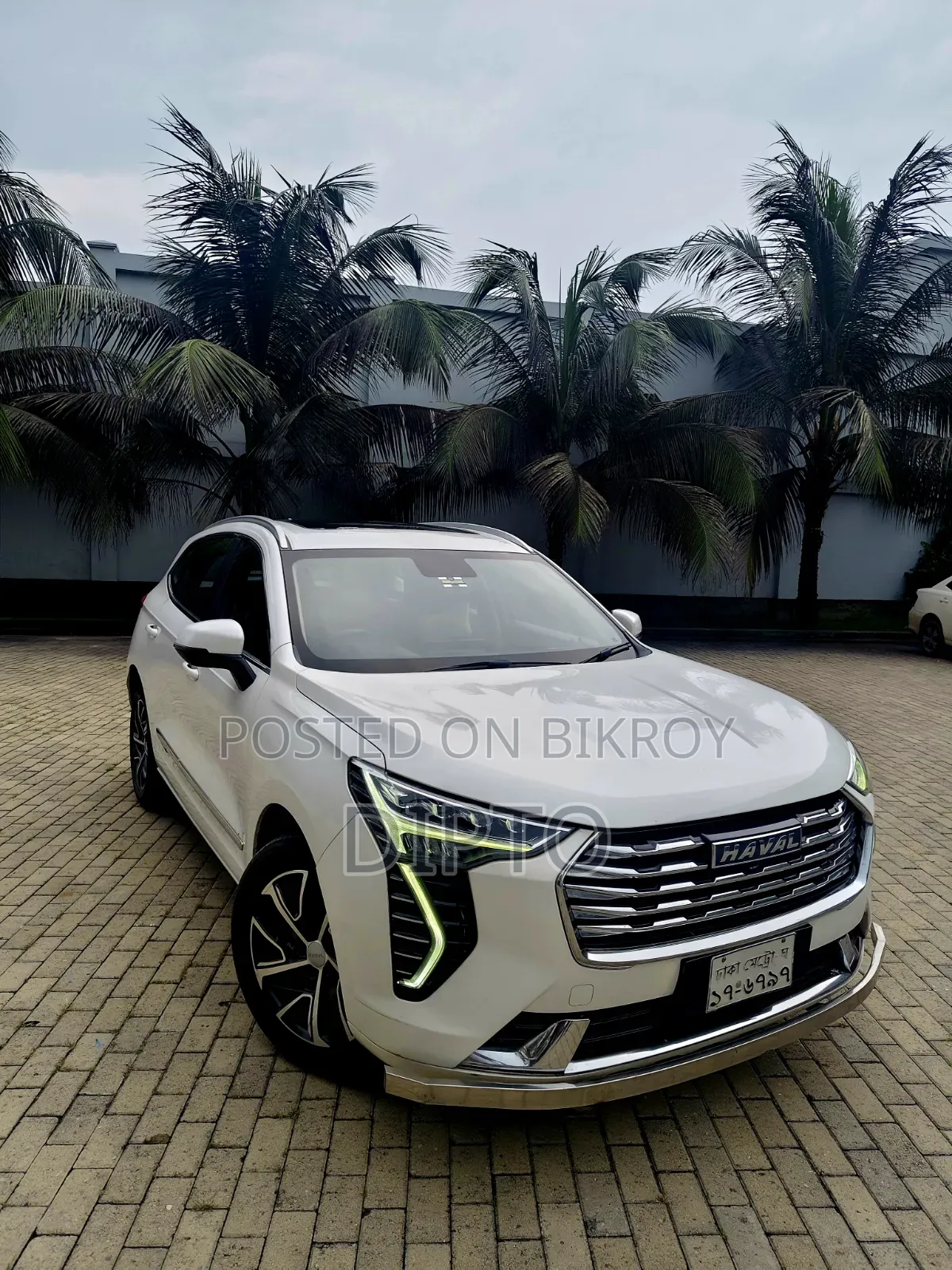 হ্যাভাল জোলিয়ন ২০২১ পার্ল