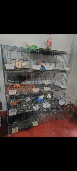 খাঁচা বিক্রি