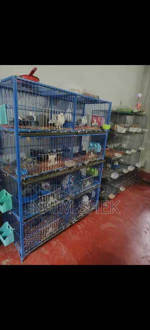 খাঁচা বিক্রি
