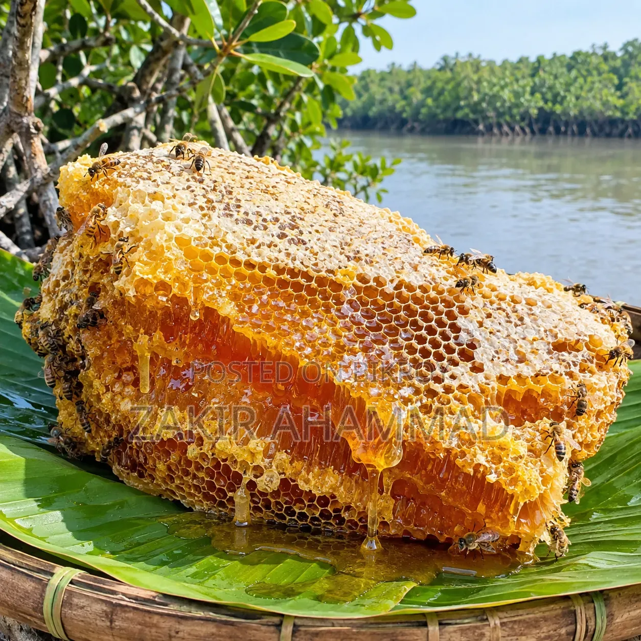 Pure Honey Collection