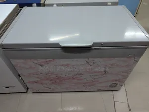 ইকো+ ডিপ ফ্রিজার ৩১১ লিটার