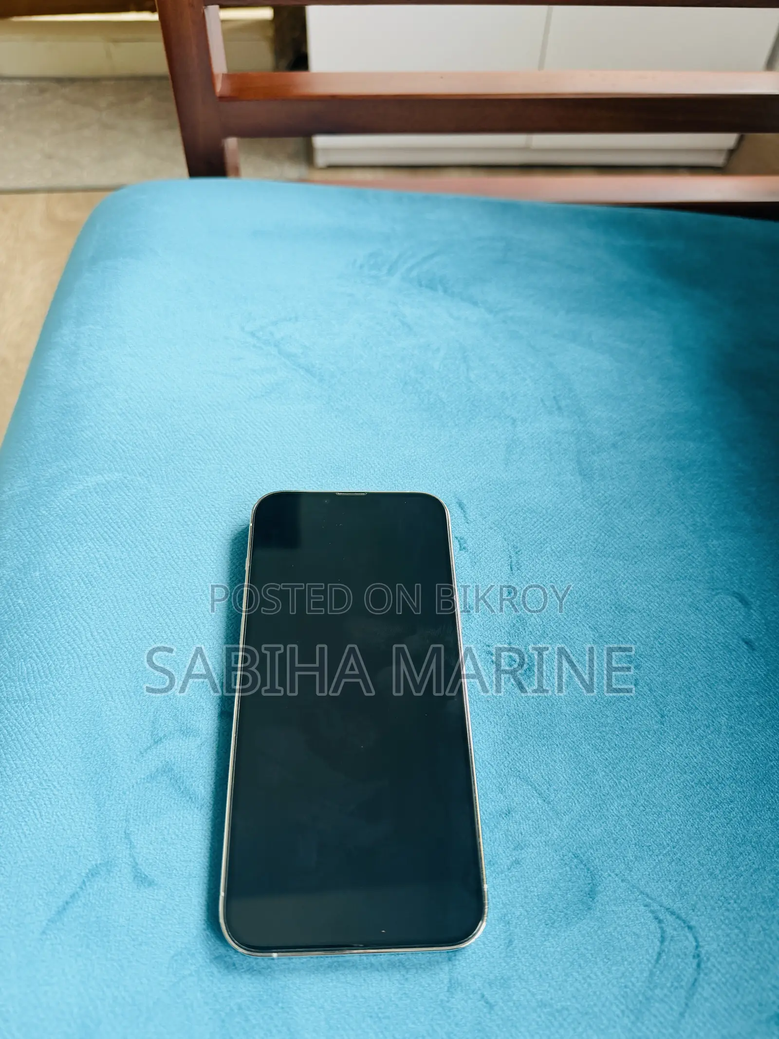 Apple iPhone 13 Pro Max 256 GB Silver