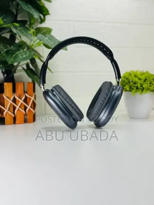 অ্যাপল এয়ারপডস ম্যাক্স হেডফোন এ২০৯৮