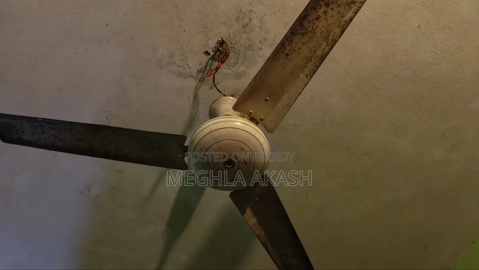 এই পাখা টি বিক্রি করা হবে