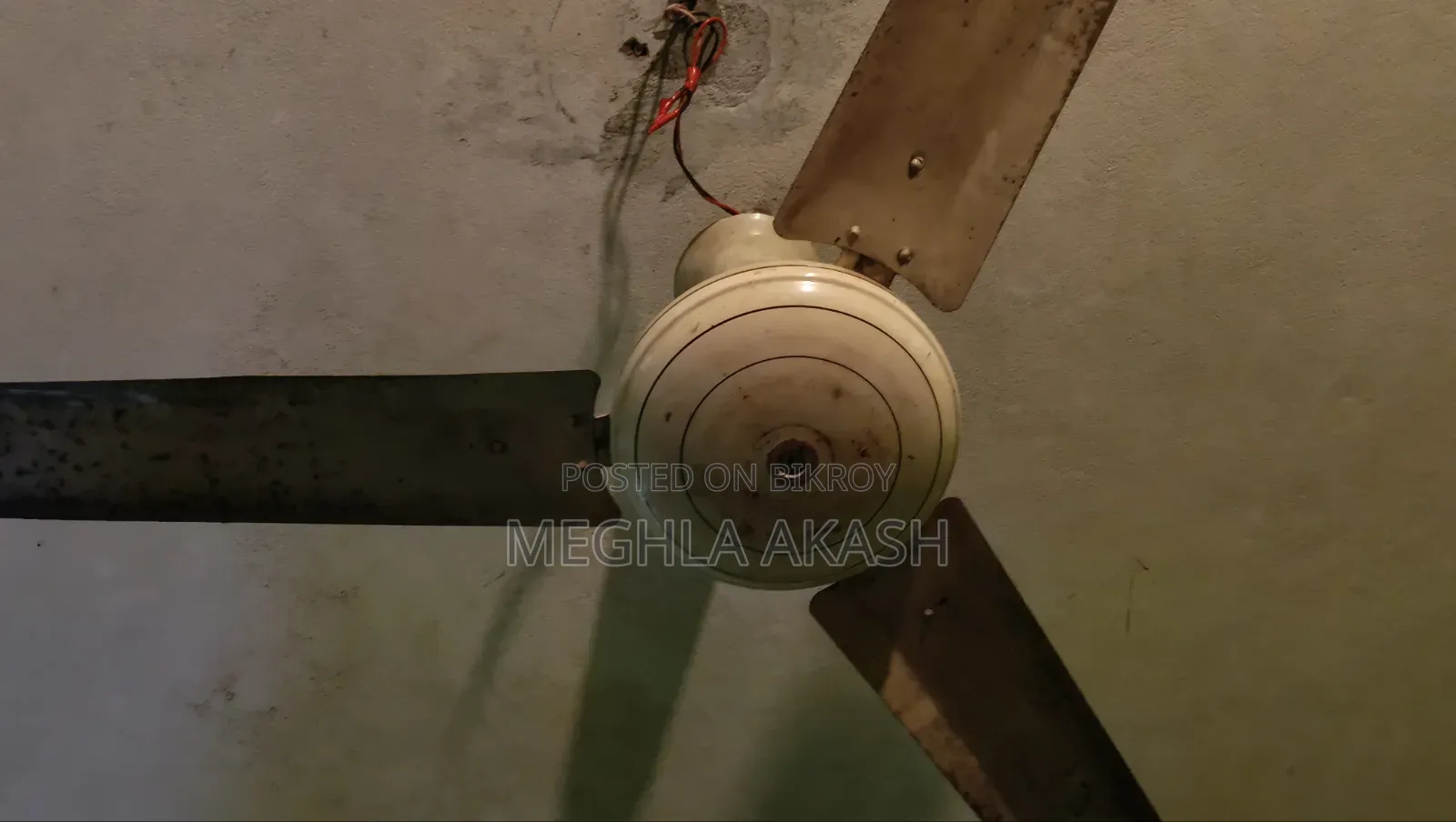 এই পাখা টি বিক্রি করা হবে