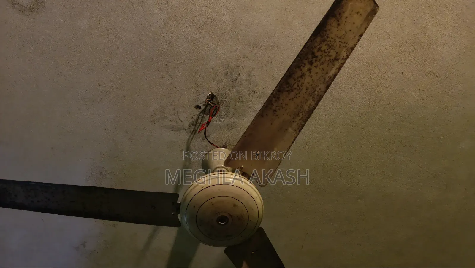 এই পাখা টি বিক্রি করা হবে
