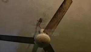 এই পাখা টি বিক্রি করা হবে