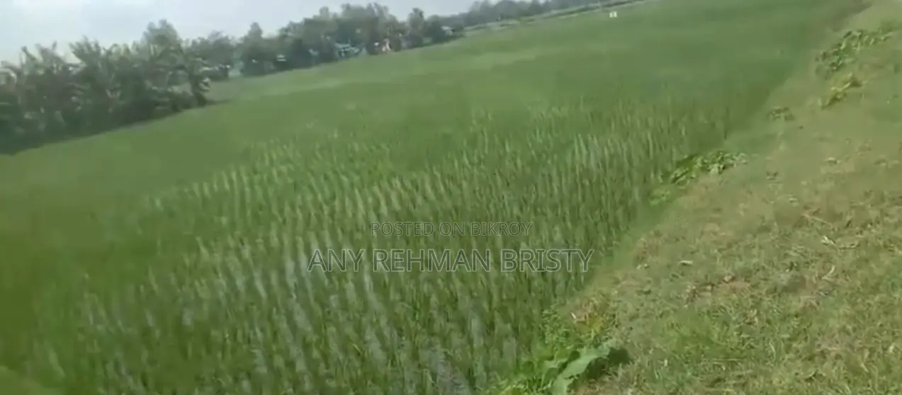 2 Land for Sale in Bogura - Factory or Commercial Project
