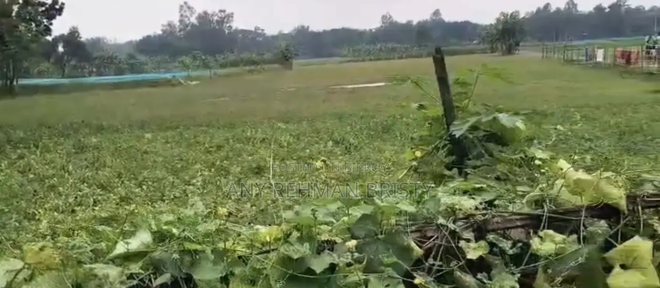 2 Land for Sale in Bogura - Factory or Commercial Project
