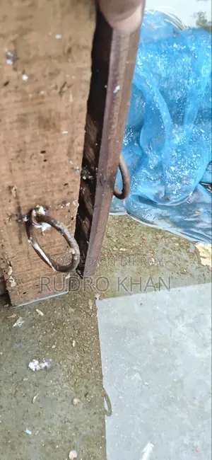 কবুতরের খোপ