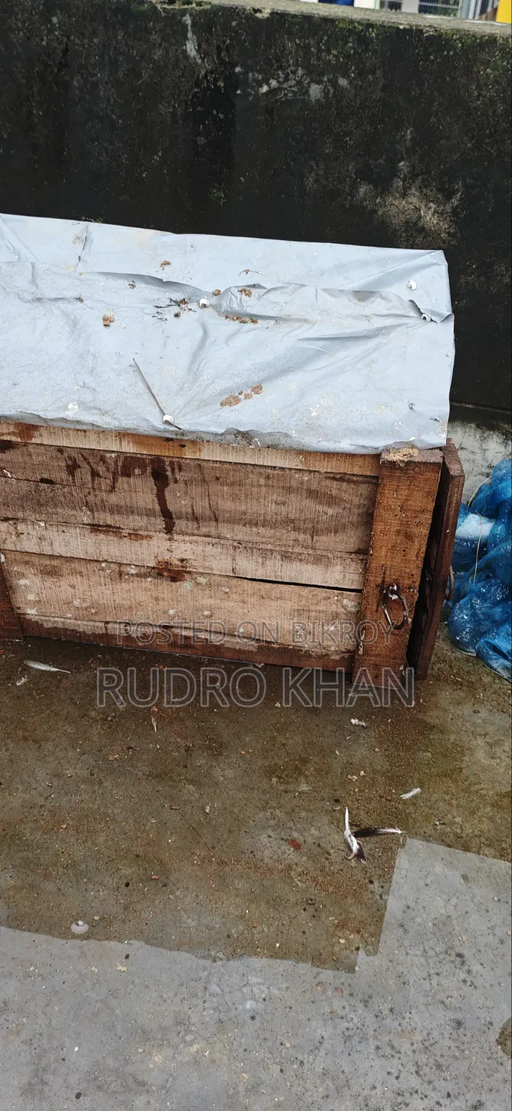 কবুতরের খোপ