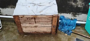 কবুতরের খোপ