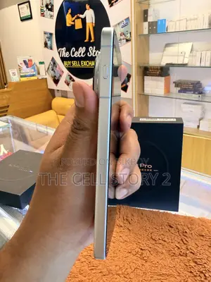 Vivo X300 256 GB Blue