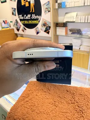 Vivo X300 256 GB Blue