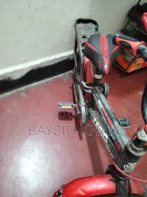 বাচ্চাদের সাইকেল