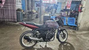 বাজাজ পালসার ১৫০ ২০১০ লাল