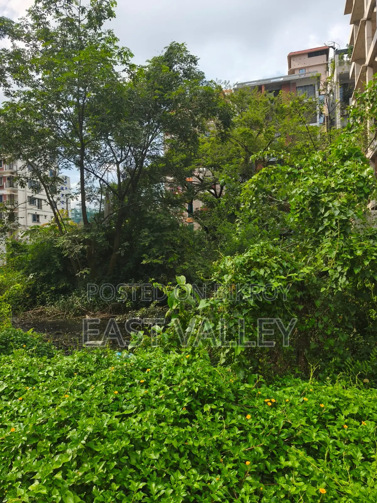 এল ব্লক ৫০০ সিরিয়াল ৩+৩=৬ কাটা প্লট বিক্রি