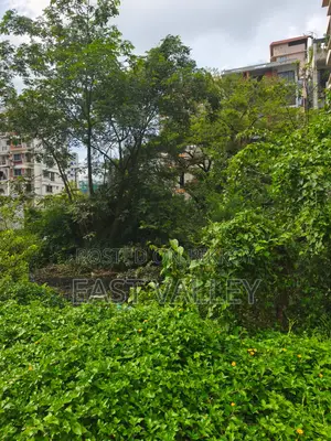 এল ব্লক ৫০০ সিরিয়াল ৩+৩=৬ কাটা প্লট বিক্রি