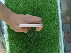 অ্যাপল আইফোন ৭ ১২৮ জিবি পিংক
