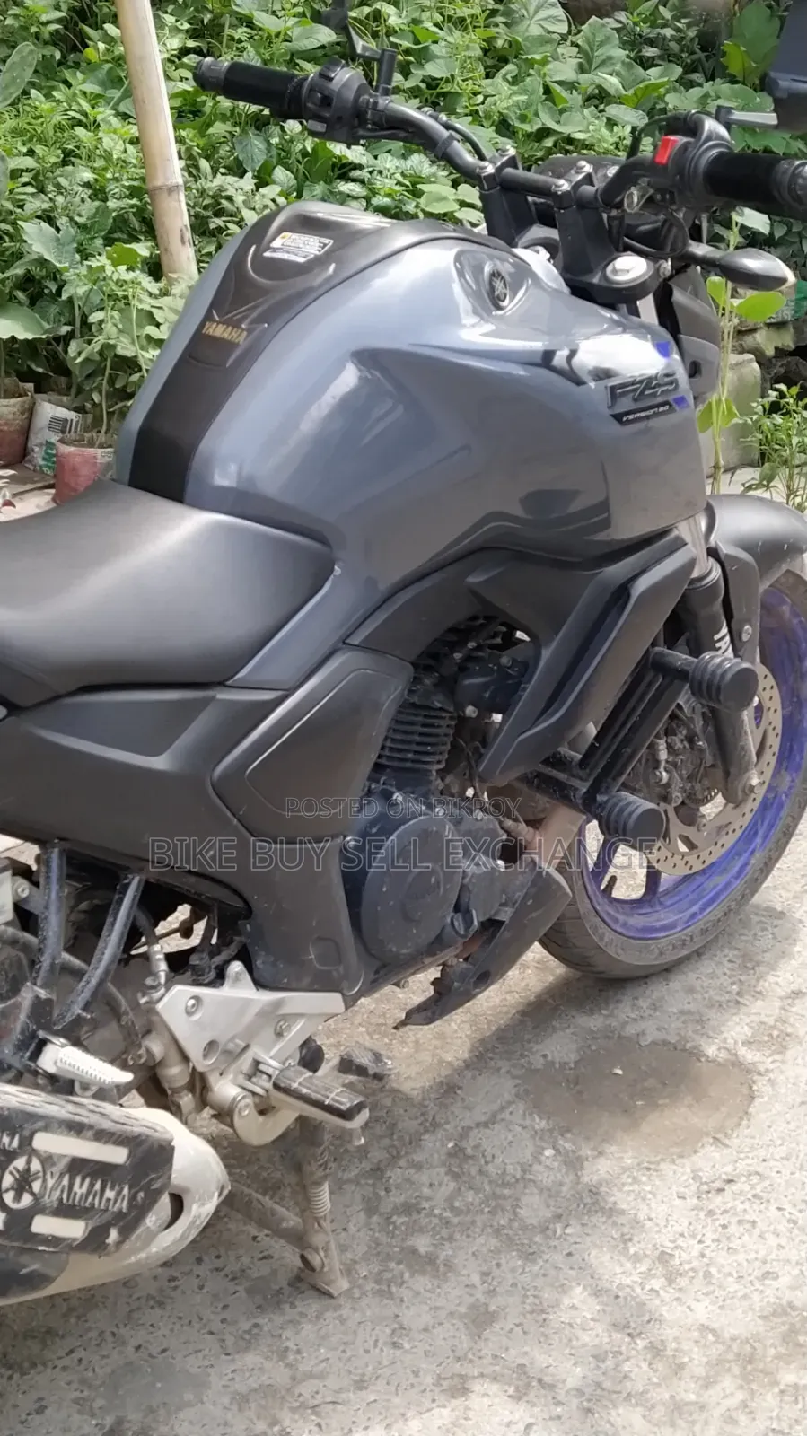 Yamaha FZS V3 2024 White