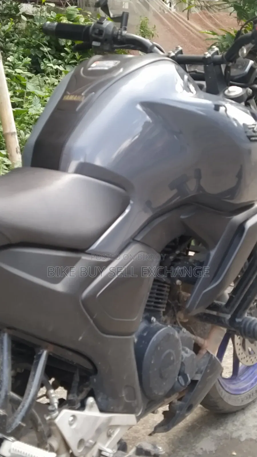Yamaha FZS V3 2024 White