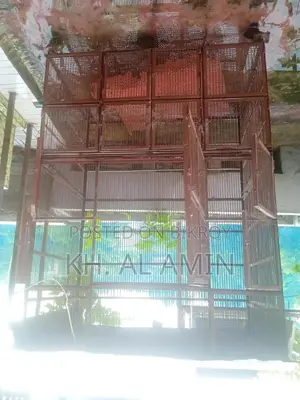 পাখির খাঁচা বিক্রয় করা হবে