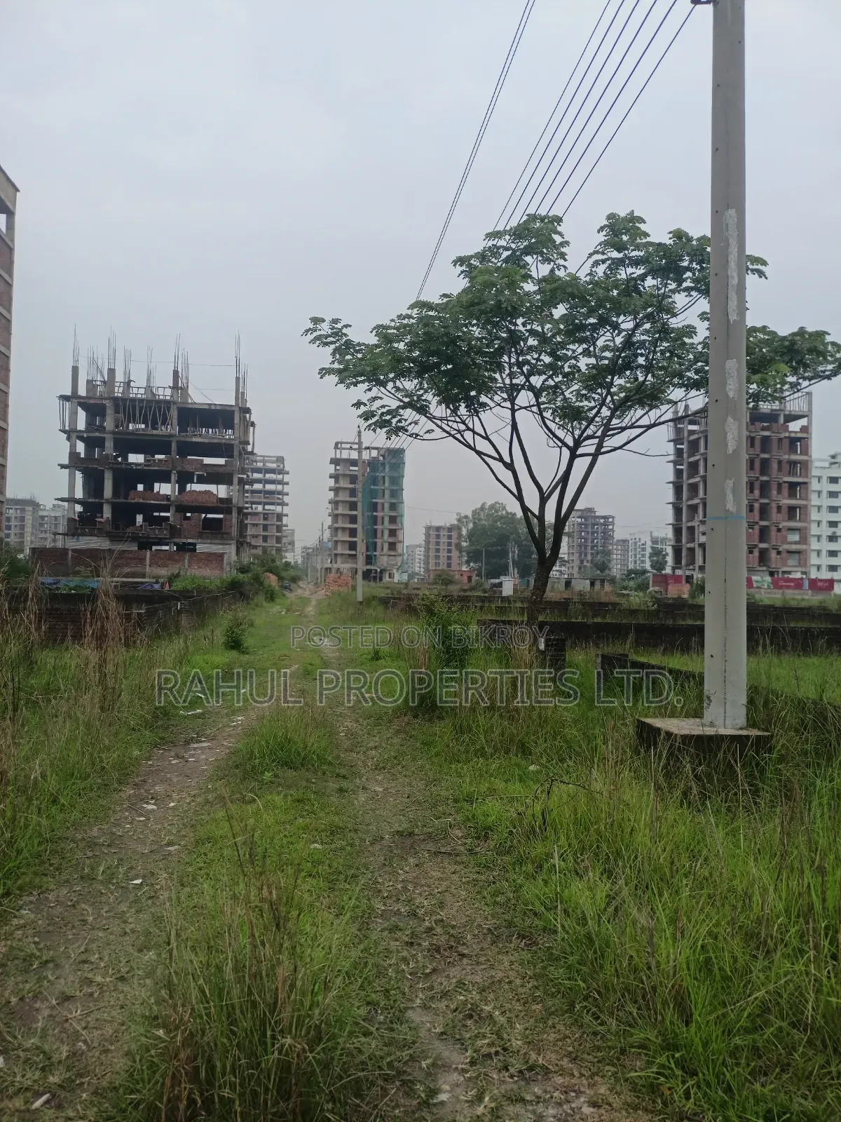 Plot_Sale_3Katha_ Bashundhara [ L Block ]