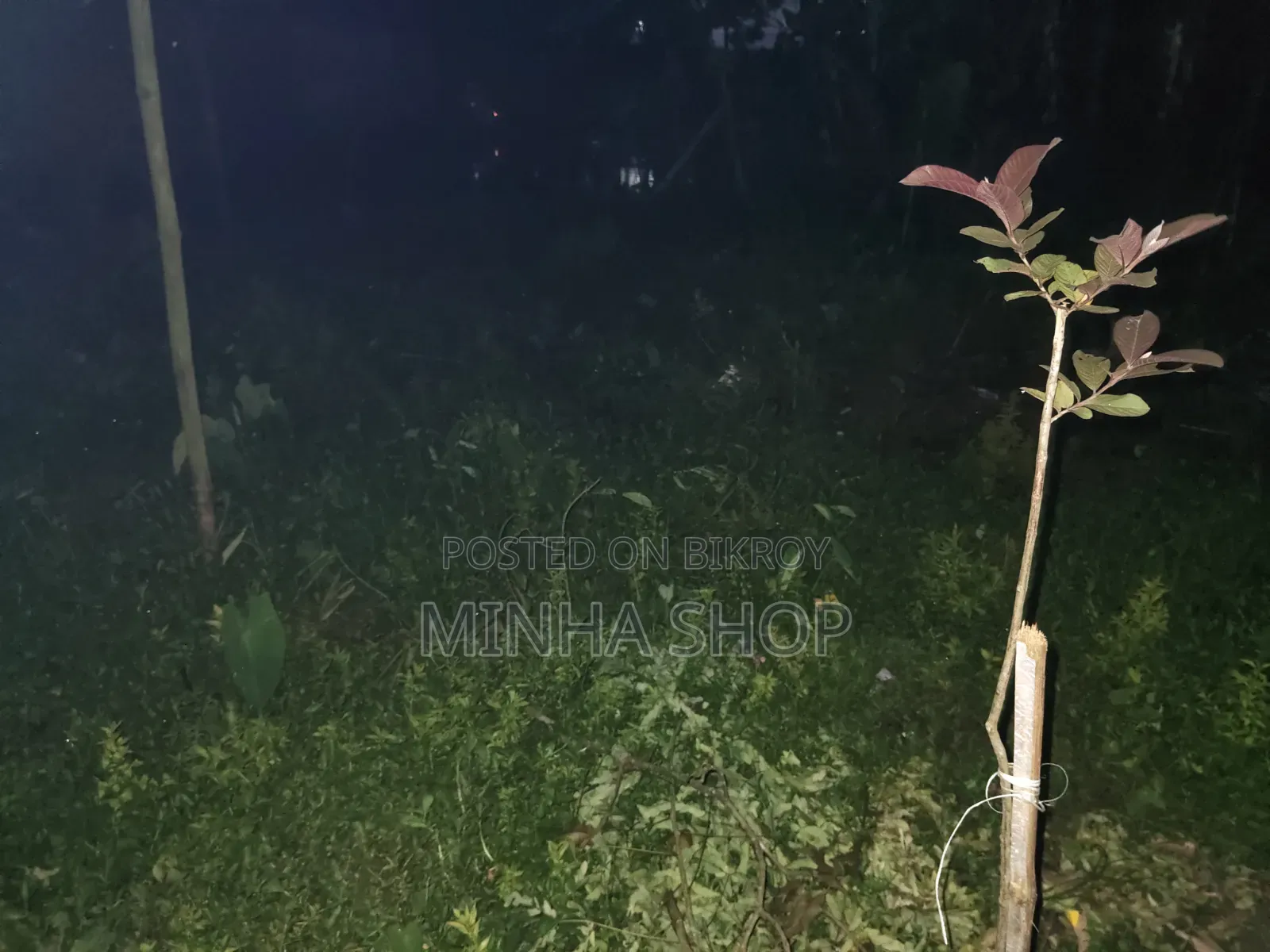 ৩bedrooms হাউস ইন আকুয়া পচিম পাড়া, ময়মনসিংহ সদর ফর সেল