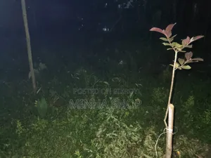 ৩bedrooms হাউস ইন আকুয়া পচিম পাড়া, ময়মনসিংহ সদর ফর সেল