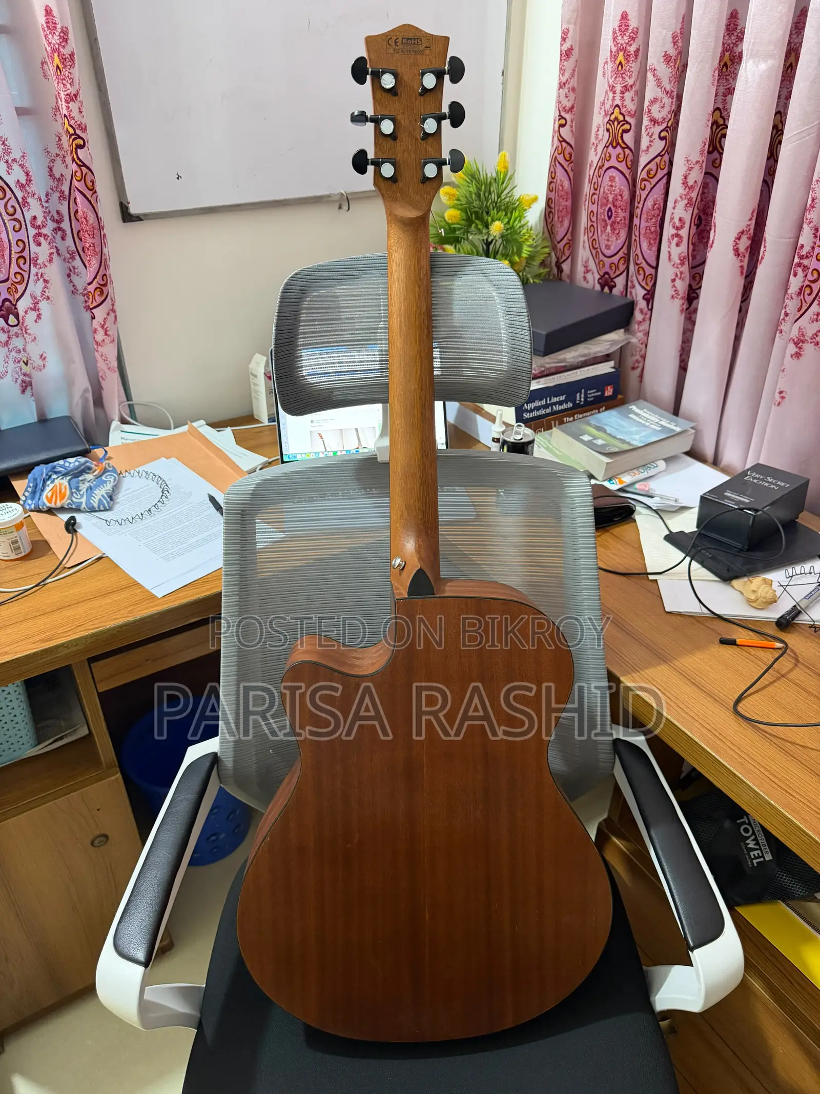 Guitar- Chard EA4040