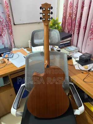 Guitar- Chard EA4040
