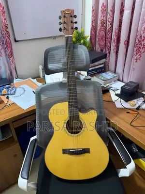 Guitar- Chard EA4040