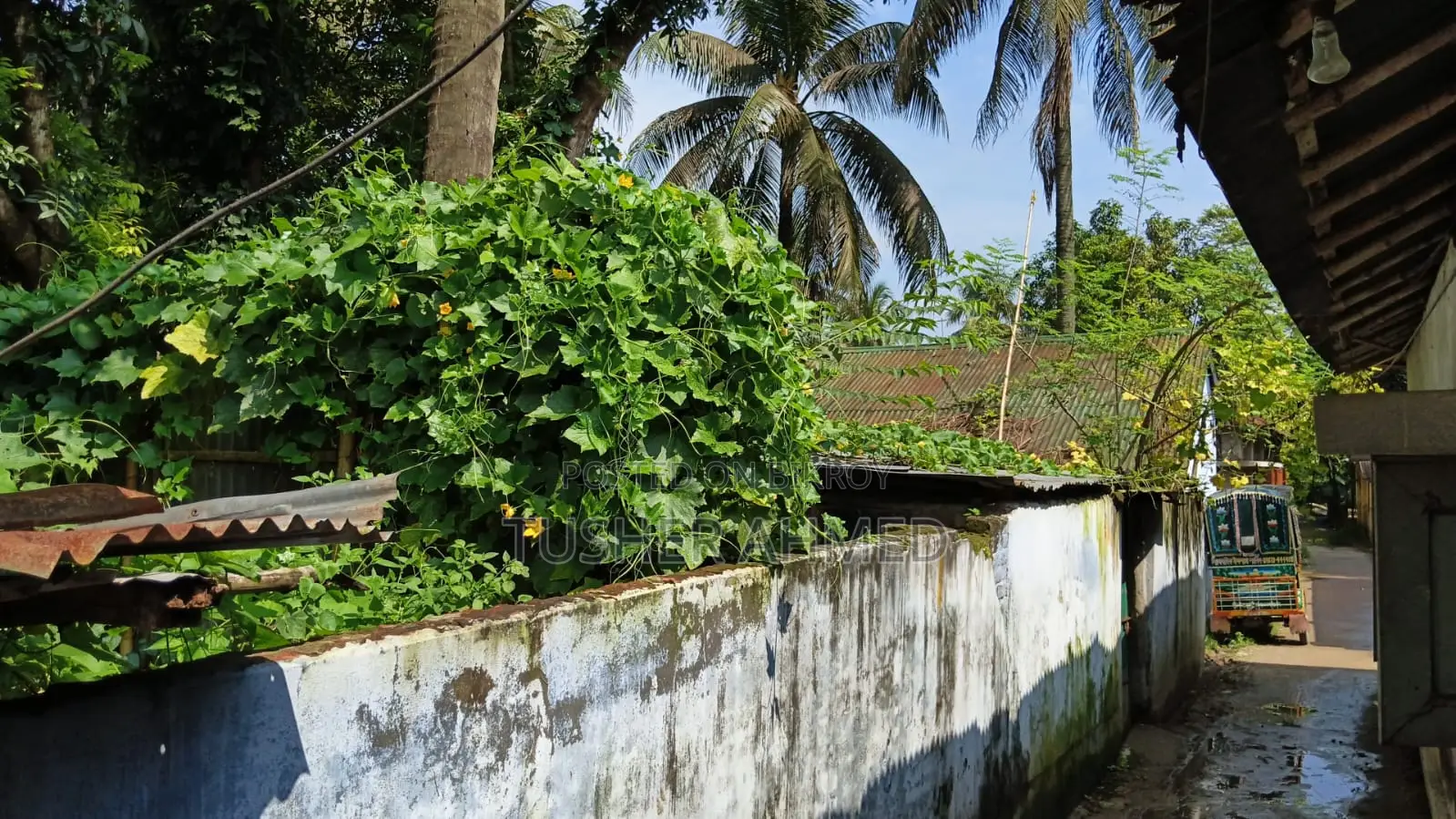 Land Sale