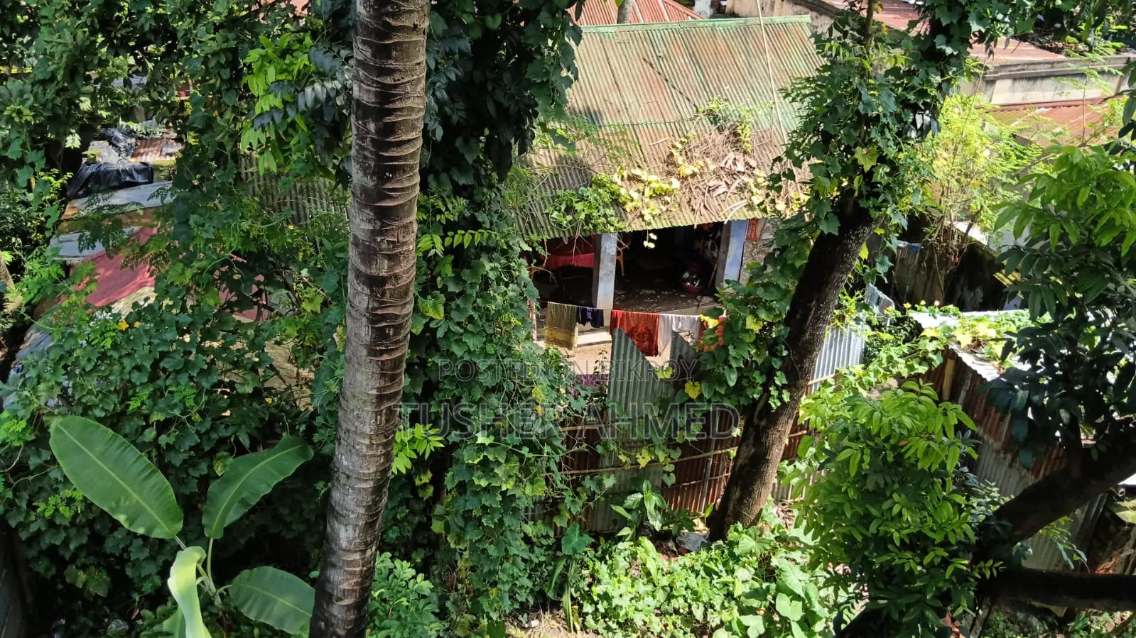 Land Sale
