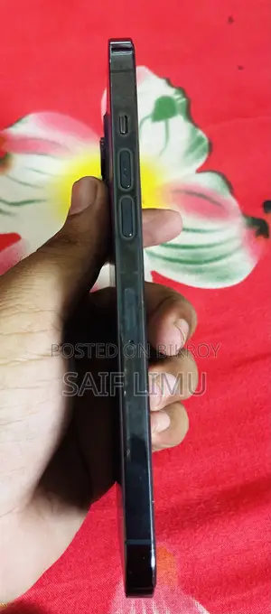 Apple iPhone 12 Pro Max 256 GB Blue