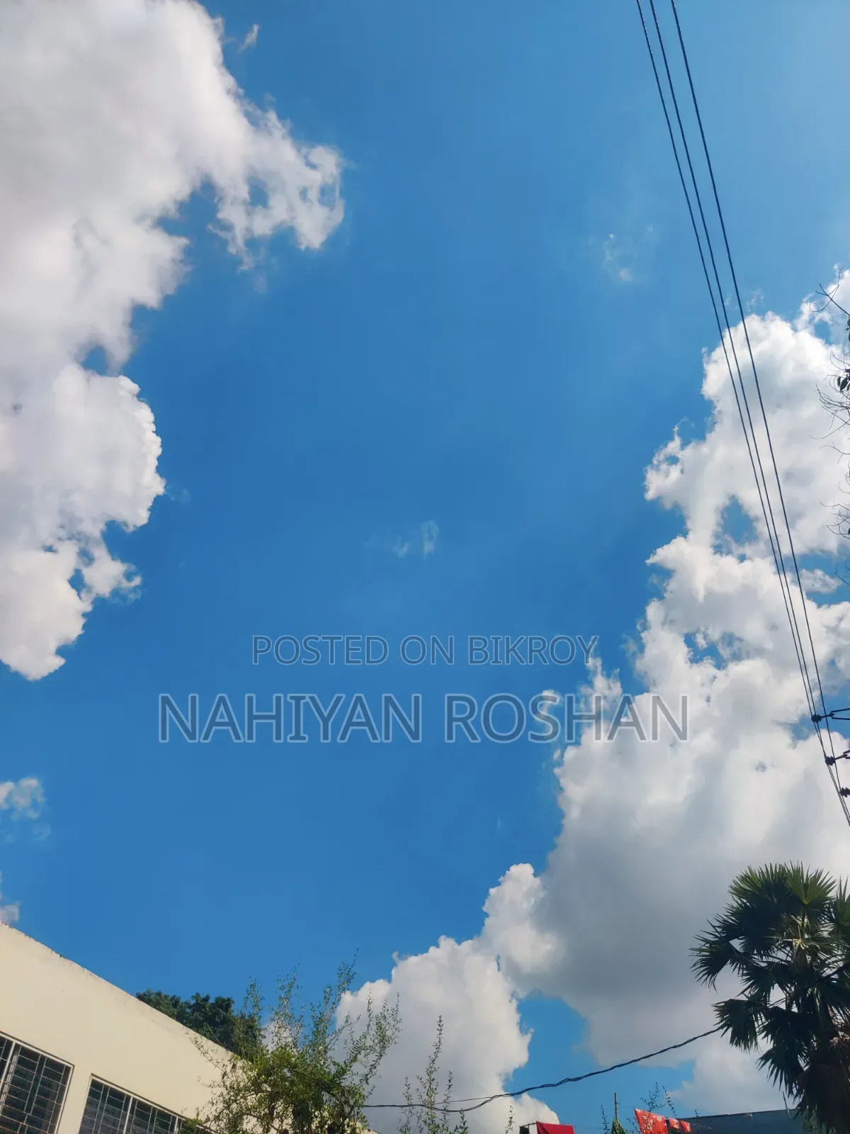 ওয়ানপ্লাস ৮ ১২৮ জিবি গ্রে