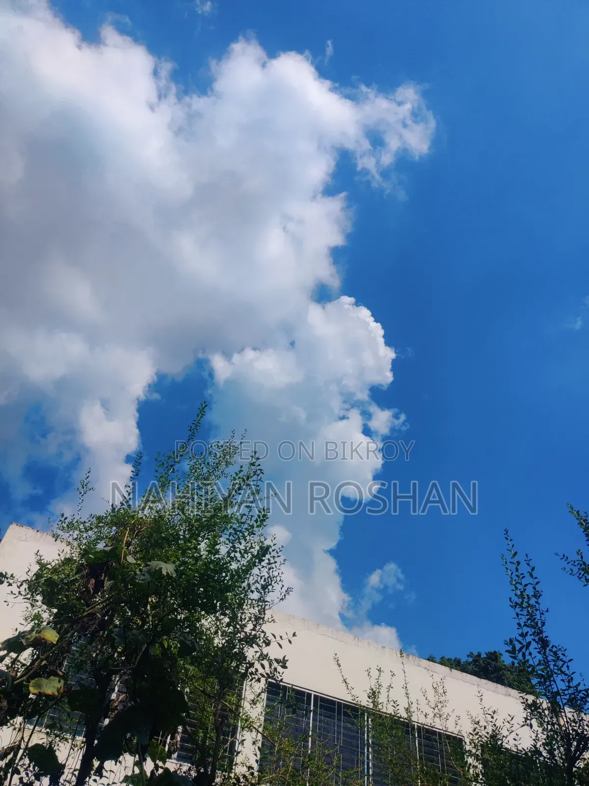 ওয়ানপ্লাস ৮ ১২৮ জিবি গ্রে