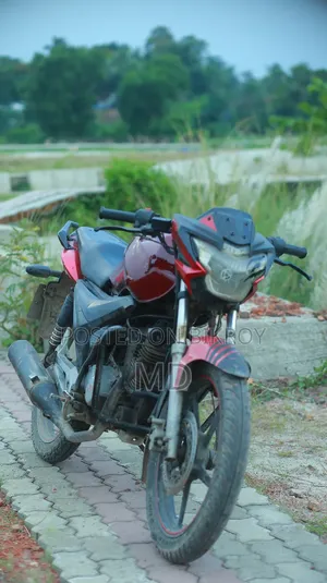 Runner Bullet 100 2015 Red