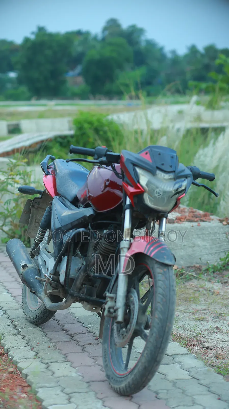 Runner Bullet 100 2015 Red