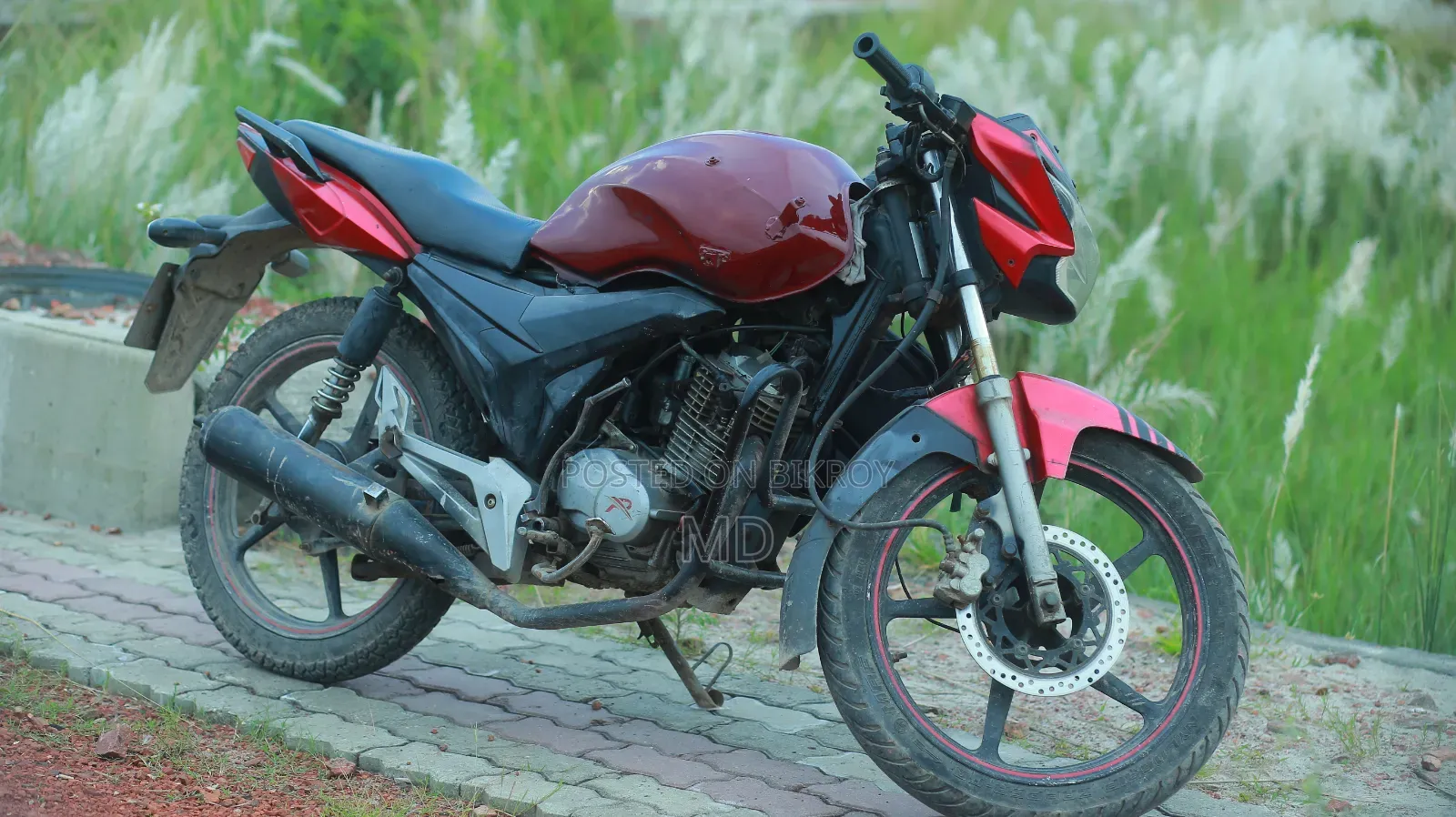 Runner Bullet 100 2015 Red