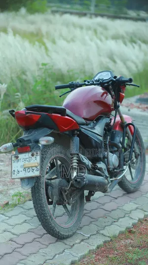 Runner Bullet 100 2015 Red