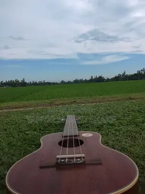 Ukelele - 24 Inch