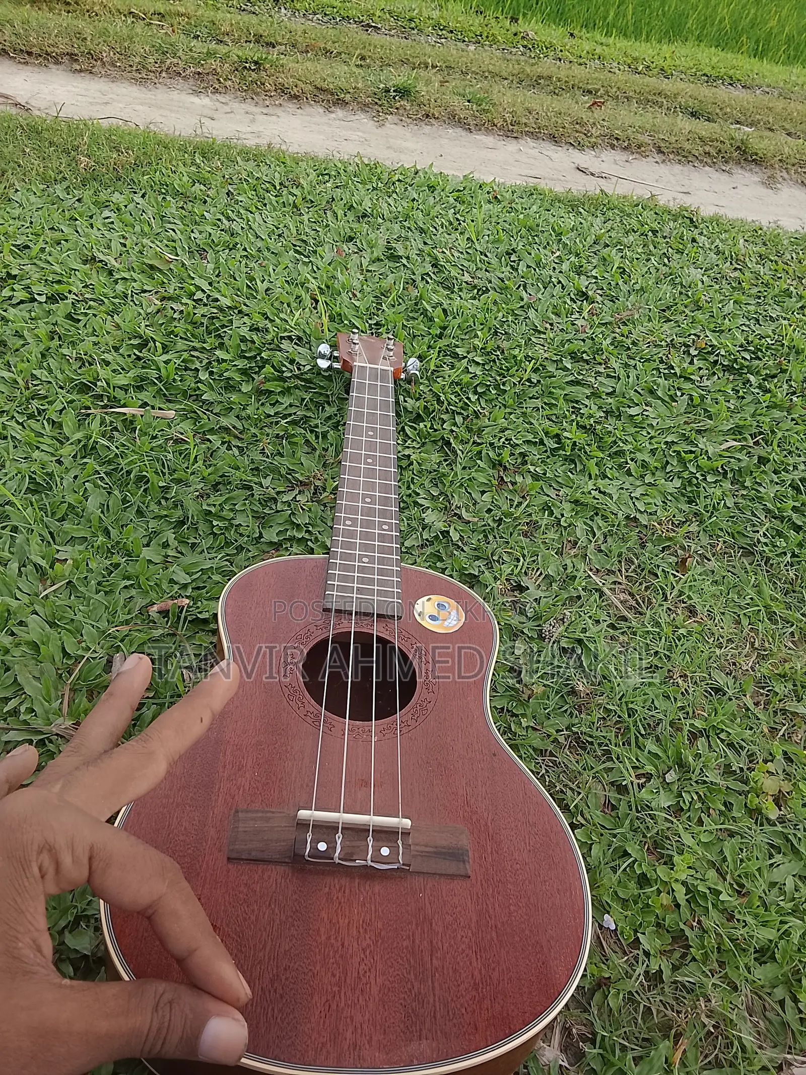 Ukelele - 24 Inch