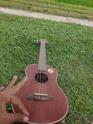 Ukelele - 24 Inch